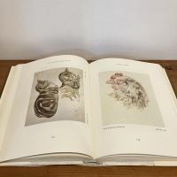 THE ART  OF BEATRIX POTTER