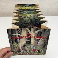 のぞき穴しかけ絵本 the ENCHANTED FOREST （魔法の森）