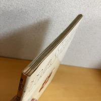 mc Sister エムシーシスター 1973年11月号 NO.47