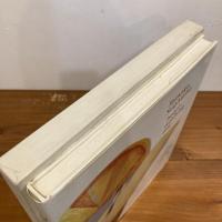 Tomoko Sugiyama heart-washing day works paintings memos 1982-95