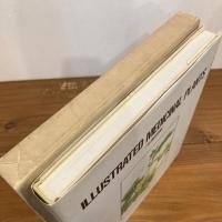 ILLUSTRATED MEDICINAL PLANTS 生薬図譜