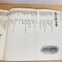 現代詩手帖 1980年1月号