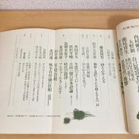 現代詩手帖 1981年7月号