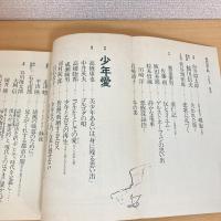 現代詩手帖 1982年5月号