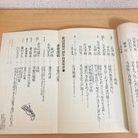 現代詩手帖 1982年5月号