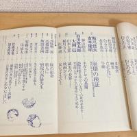 現代詩手帖 1982年8月号