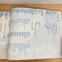 現代詩手帖 1984年6月号