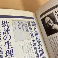現代詩手帖 1984年7月臨時増刊号