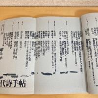 現代詩手帖 1987年12月臨時増刊