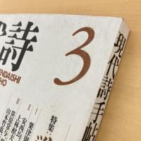 現代詩手帖 1993年3月号