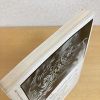 現代詩手帖 1994年1月号