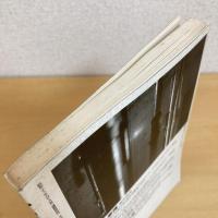 現代詩手帖 1994年4月号