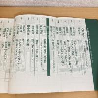 現代詩手帖 1994年4月号