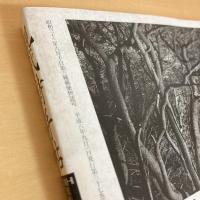 現代詩手帖 1994年9月号