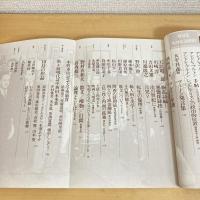 現代詩手帖 1994年10月号