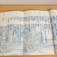 現代詩手帖 1995年2月号