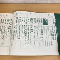 現代詩手帖 1995年3月号