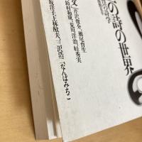 現代詩手帖 1995年4月号