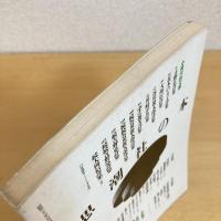 現代詩手帖 1995年5月号