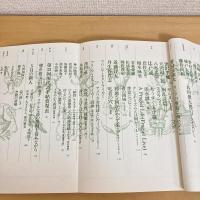 現代詩手帖 1995年5月号