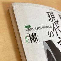 現代詩手帖 1995年5月号