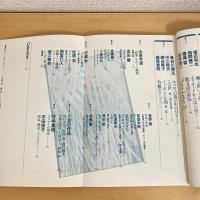 現代詩手帖 1996年2月号