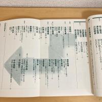 現代詩手帖 1996年3月号