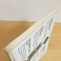 現代詩手帖 1996年11月号