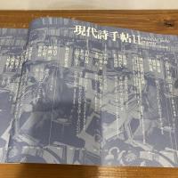 現代詩手帖 2003年11月号