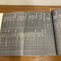 現代詩手帖 2004年3月号