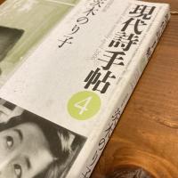 現代詩手帖 2006年4月号