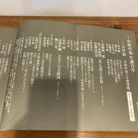 現代詩手帖 2007年4月号