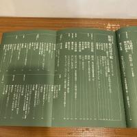 現代詩手帖 2009年3月号