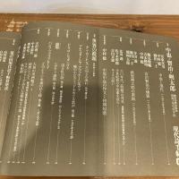現代詩手帖 2009年5月号