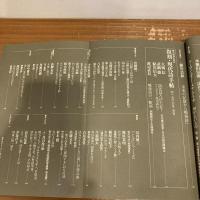 現代詩手帖 2009年7月号