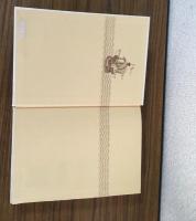 さすらいの少年　世界児童文学名作シリーズ