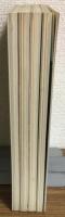 太陽美人画シリーズ　Ⅰ～Ⅳ
全４冊セット
