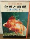 実用百科　金魚と綿鯉　鑑賞と飼い方