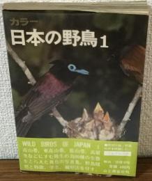 カラー　日本の野鳥1