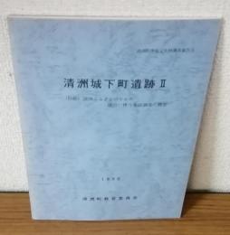 清州城下町遺跡Ⅱ
（仮称）清州ふるさとのやかた建設に伴う事前調査の概要　
1990