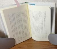 アイステーシス　二十一世紀の美学に向けて