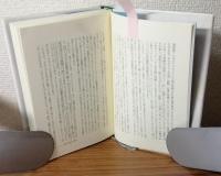 アイステーシス　二十一世紀の美学に向けて
