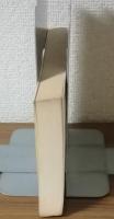 やすことあ歩く　マホロニーへの道　第1巻（胎児期）