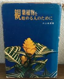 観葉植物を始める人のために