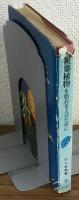 観葉植物を始める人のために