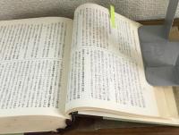 偕成民事訴訟法實務総攬