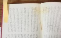 世界の文字42　セリーヌ