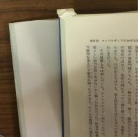中世最後の騎士　皇帝マクシミリアン一世伝