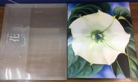 オキーフ画集　「花」