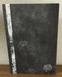 ベルクリン「物質と記憶」を診断する　時間経験の哲学・意識の科学・美学・倫理学への展開
